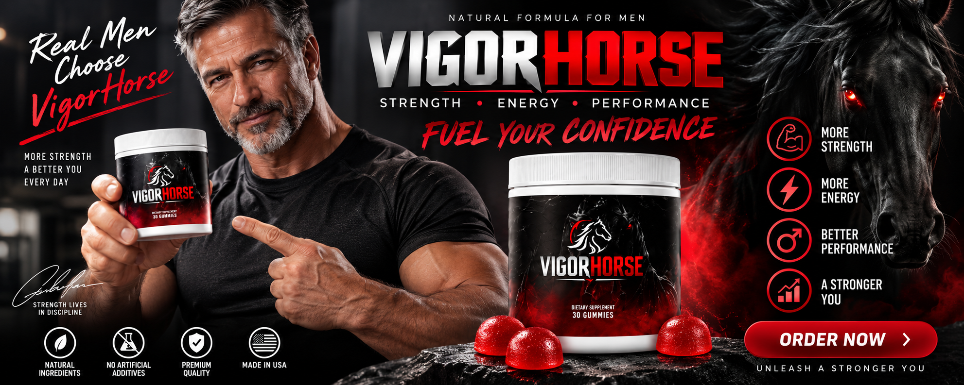 VigorHorse Banner